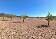 Resale - land -
Monóvar - Monòver - Monóvar - Monòver Centro