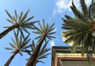 Reventa - Apartamento / piso -
Benidorm - Benidorm Centro