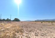 Használt ingatlanok - land -
Pinoso - Pinoso Centro