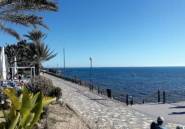 Winter rental - Apartment / flat -
Orihuela Costa - Playa Flamenca