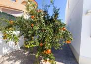 Resale - Villa -
San Fulgencio - San Fulgencio Centro