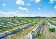 Resale - country house -
San Isidro - San Isidro Centro