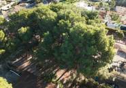 Resale - land -
Benissa - La Cometa