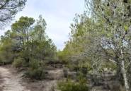 Resale - land -
Monóvar - Monòver - Monóvar - Monòver Centro