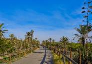 Resale - land -
Guardamar del Segura - Guardamar del Segura Centro